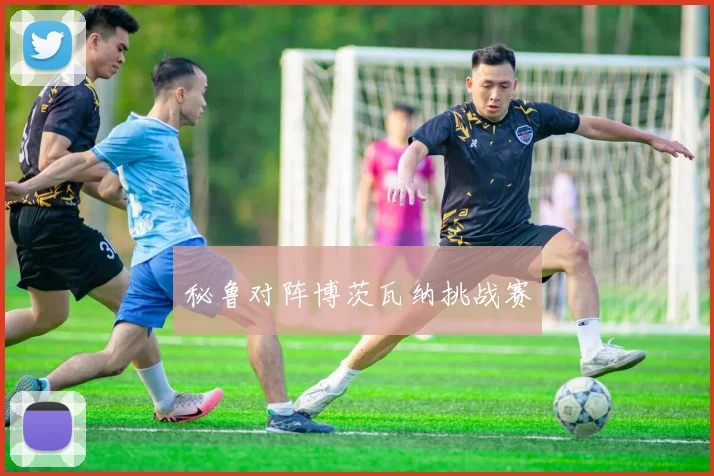 秘鲁对阵博茨瓦纳挑战赛