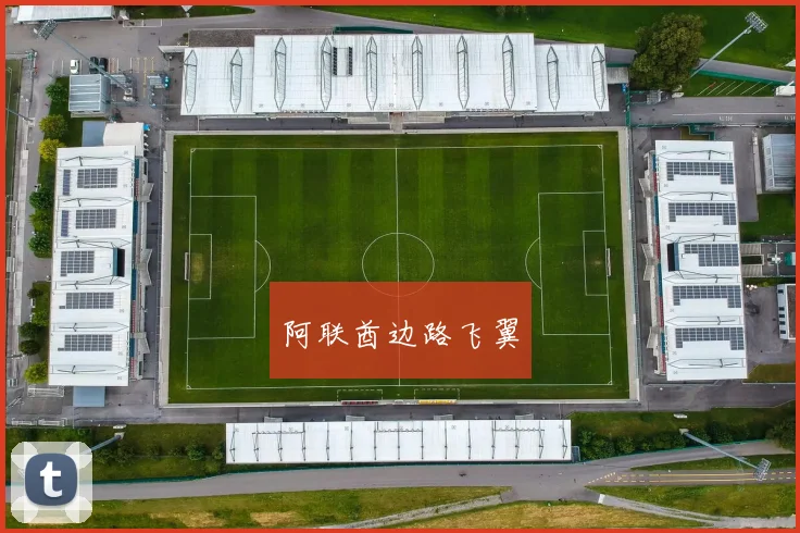 阿联酋边路飞翼
