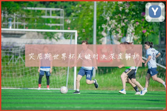突尼斯世界杯关键对决深度解析