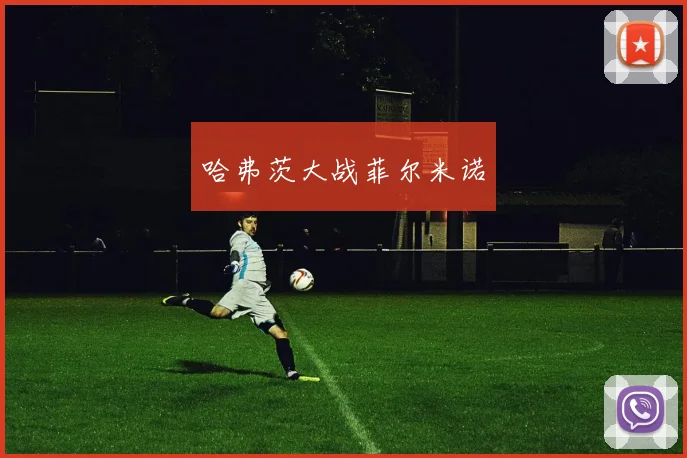 哈弗茨大战菲尔米诺