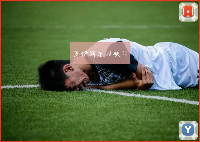 罗伊斯单刀破门