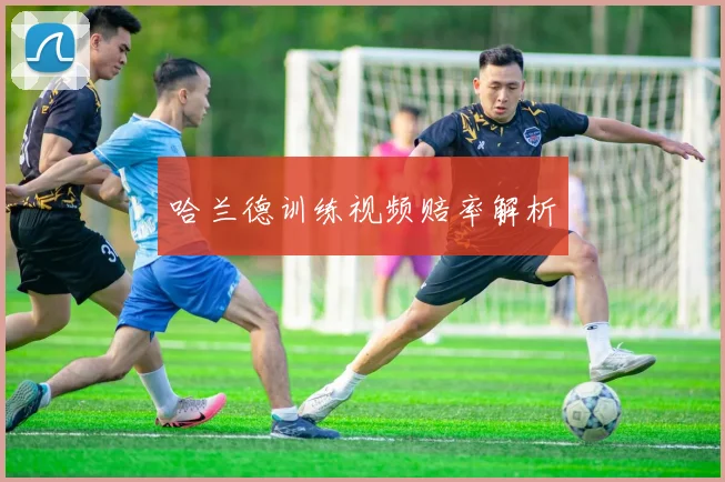 哈兰德训练视频赔率解析