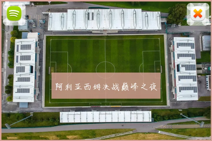 阿利亚西姆决战巅峰之夜