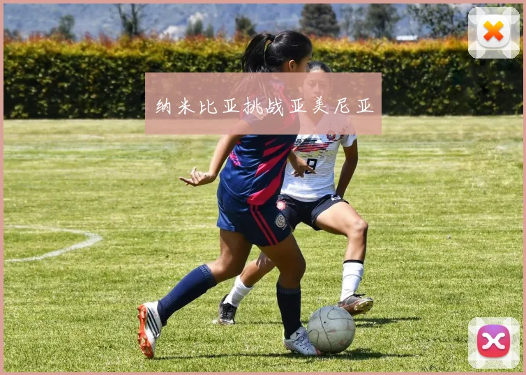 纳米比亚挑战亚美尼亚