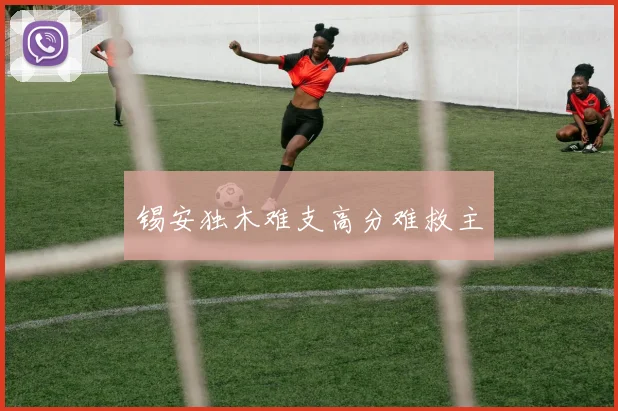 锡安独木难支高分难救主
