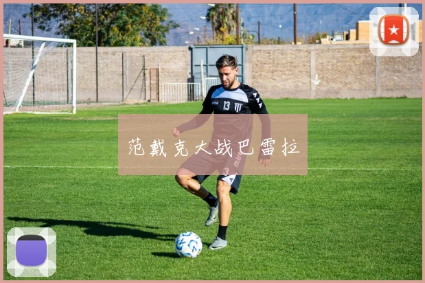 范戴克大战巴雷拉
