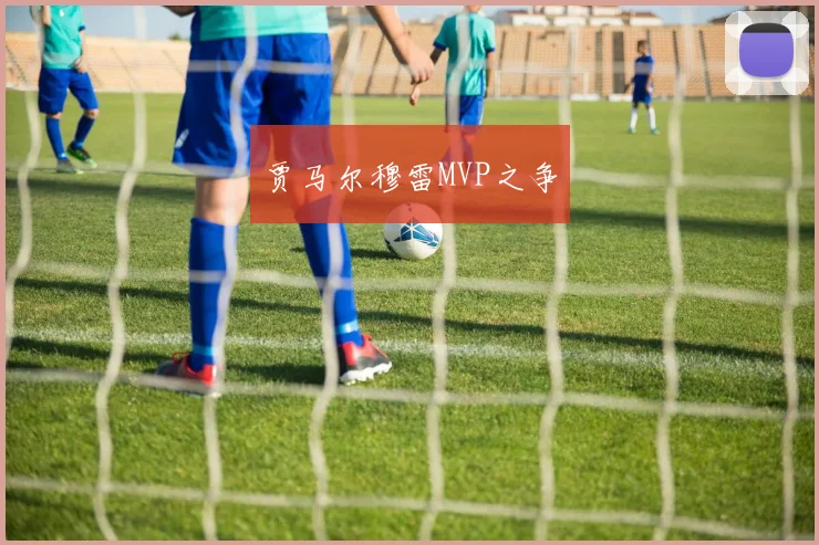 贾马尔穆雷MVP之争