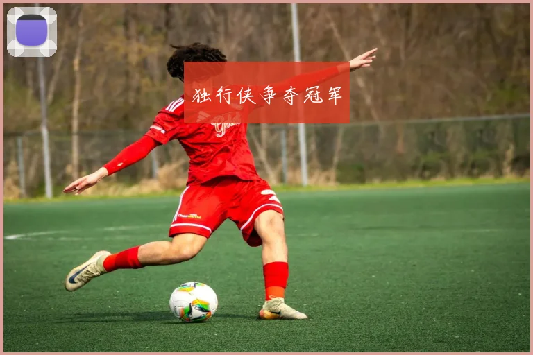 独行侠争夺冠军