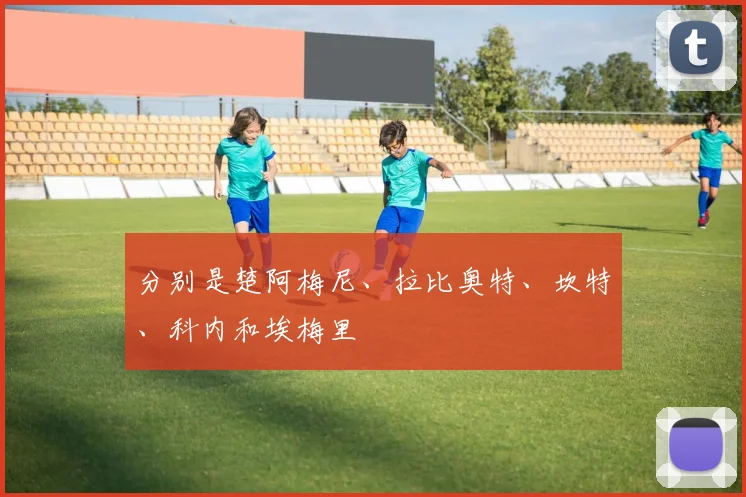 分别是楚阿梅尼、拉比奥特、坎特、科内和埃梅里