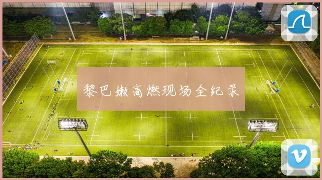 黎巴嫩高燃现场全纪录
