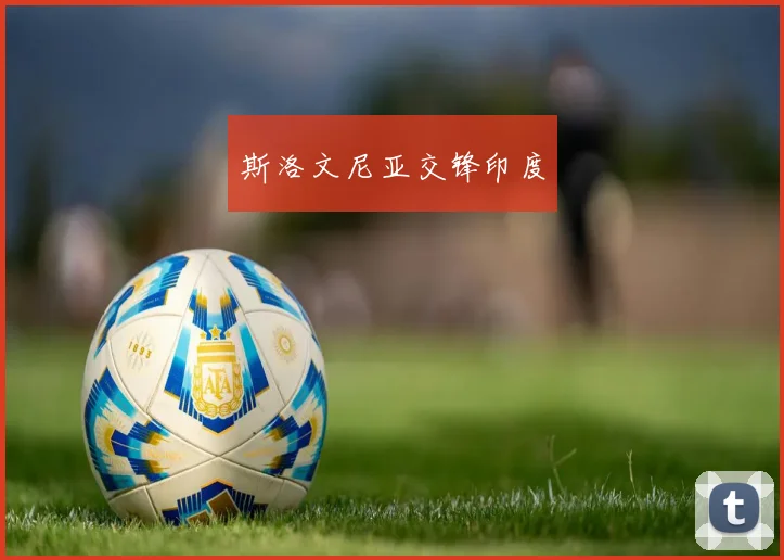 斯洛文尼亚交锋印度