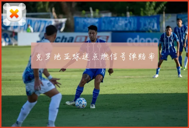 克罗地亚球迷点燃信号弹赔率