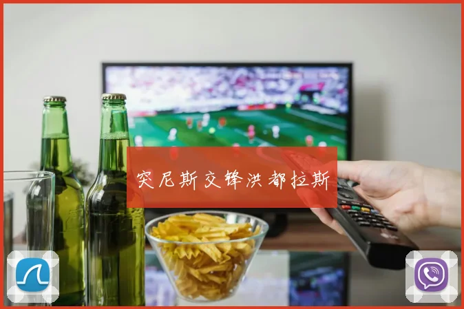 突尼斯交锋洪都拉斯