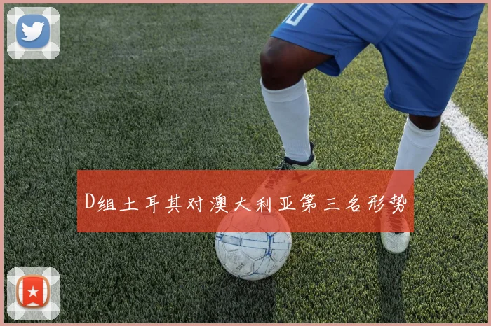 D组土耳其对澳大利亚第三名形势