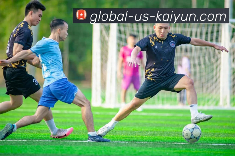 开云Kaiyun综合体育官方app下载核心证书