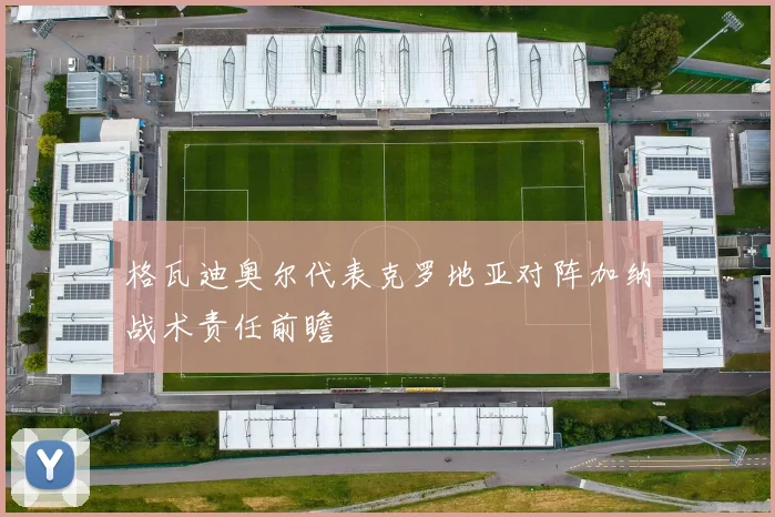 格瓦迪奥尔代表克罗地亚对阵加纳战术责任前瞻