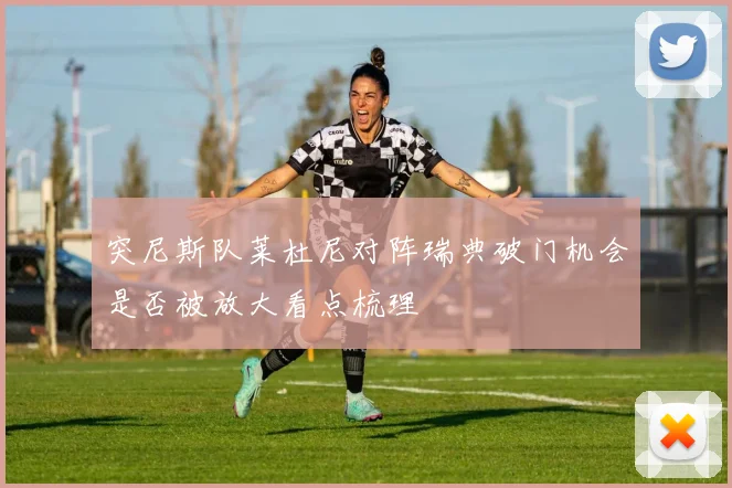 突尼斯队莱杜尼对阵瑞典破门机会是否被放大看点梳理