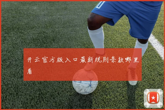开云官方版入口最新规则条款哪里看
