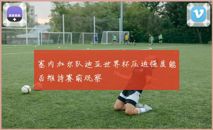 塞内加尔队迪亚世界杯压迫强度能否维持赛前观察