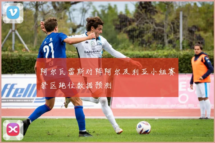 阿尔瓦雷斯对阵阿尔及利亚小组赛禁区跑位数据预测