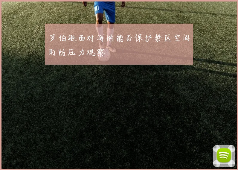 罗伯逊面对海地能否保护禁区空间盯防压力观察